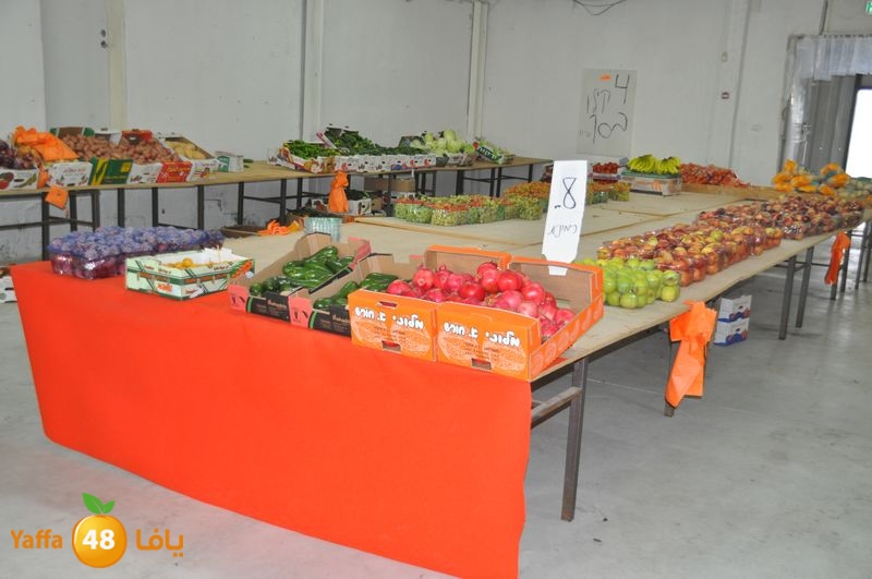 setona2y 830 (20).JPG